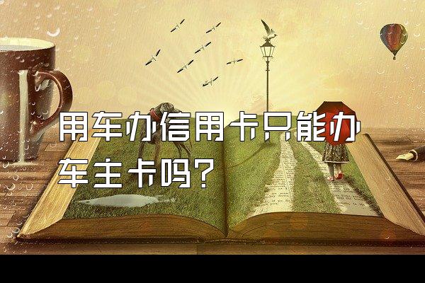用车办信用卡只能办车主卡吗？