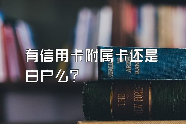 有信用卡附属卡还是白户么？