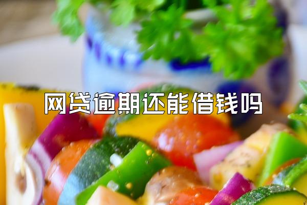 网贷逾期还能借钱吗