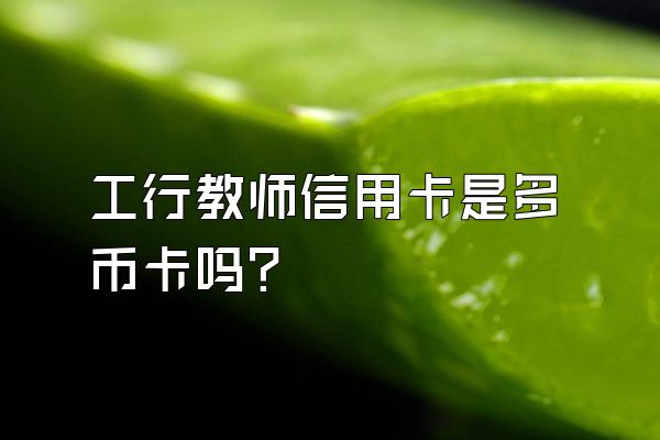 工行教师信用卡是多币卡吗？