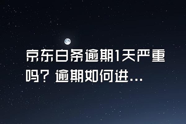 京东白条逾期1天严重吗？逾期如何进行补救？