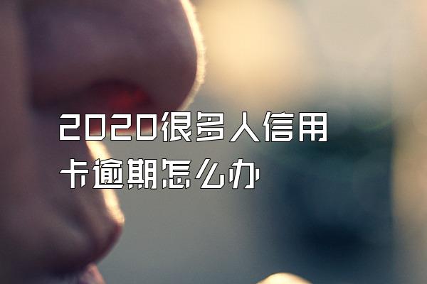 2020很多人信用卡逾期怎么办