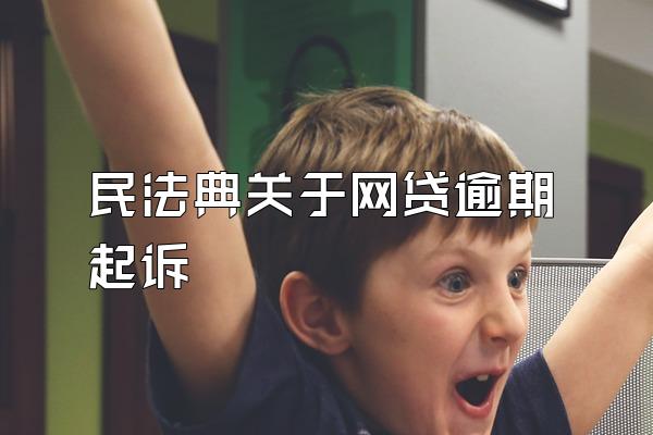 民法典关于网贷逾期起诉
