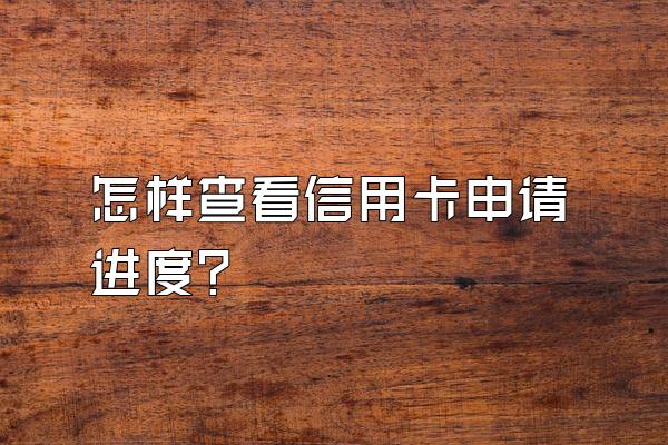 怎样查看信用卡申请进度？