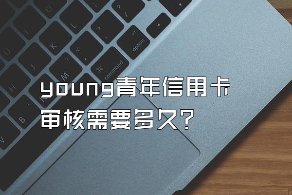 young青年信用卡审核需要多久？
