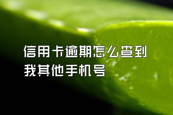 信用卡逾期怎么查到我其他手机号