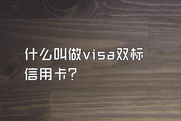 什么叫做visa双标信用卡？