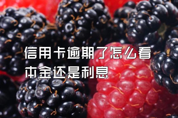 信用卡逾期了怎么看本金还是利息
