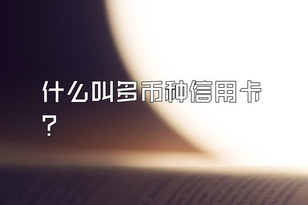 什么叫多币种信用卡？