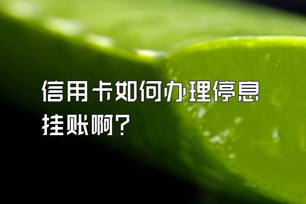 信用卡如何办理停息挂账啊？