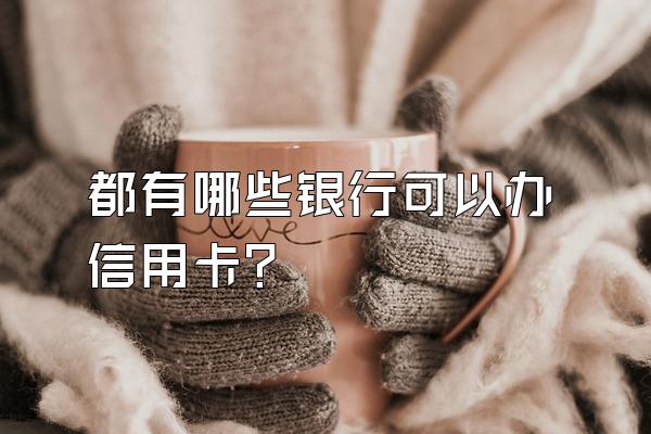 都有哪些银行可以办信用卡？