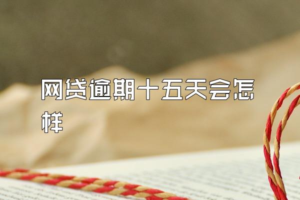 网贷逾期十五天会怎样