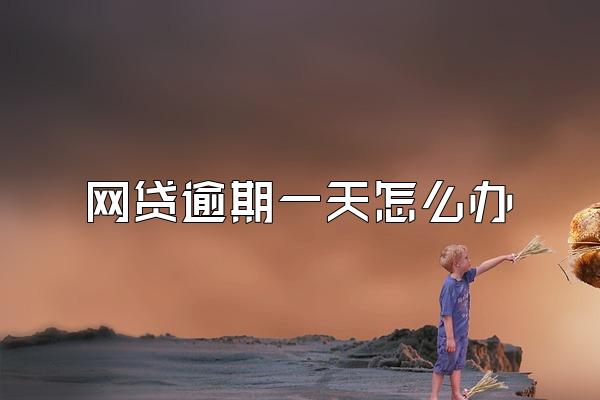 网贷逾期一天怎么办