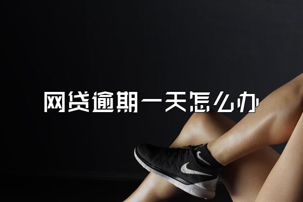 网贷逾期一天怎么办