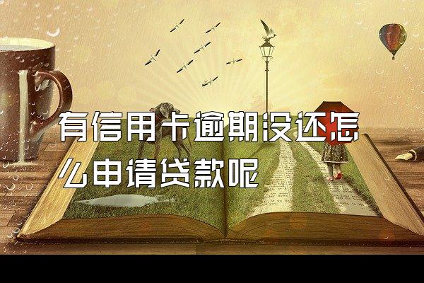 有信用卡逾期没还怎么申请贷款呢