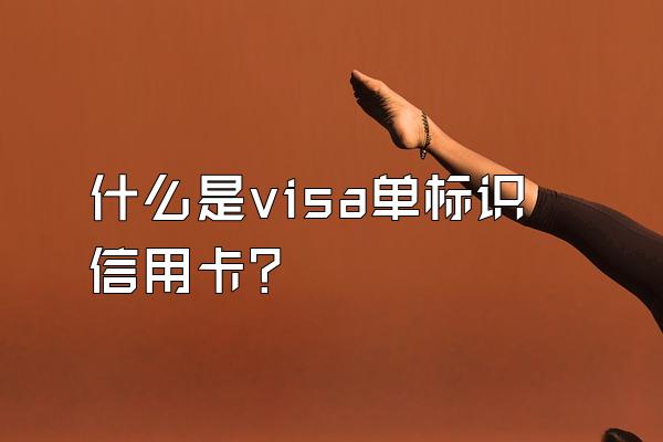 什么是visa单标识信用卡？