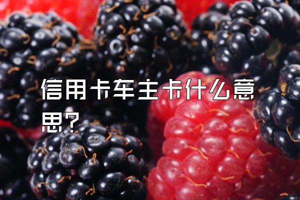 信用卡车主卡什么意思？