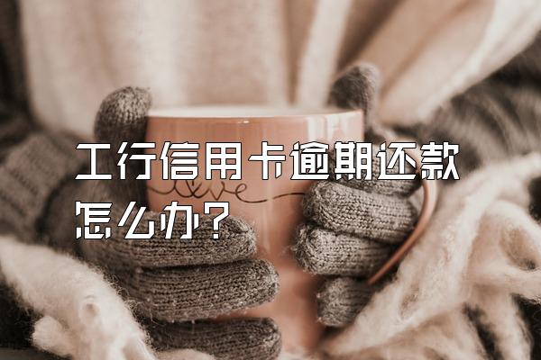 工行信用卡逾期还款怎么办？