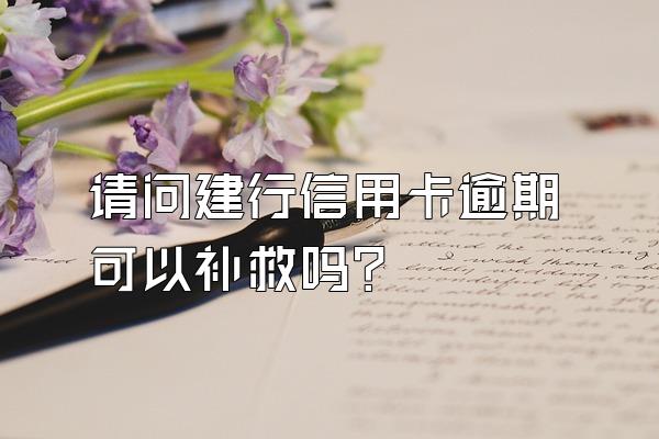请问建行信用卡逾期可以补救吗？