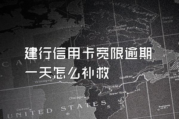 建行信用卡宽限逾期一天怎么补救