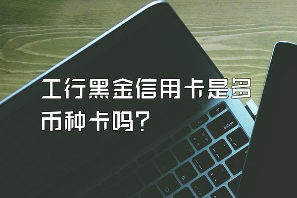 工行黑金信用卡是多币种卡吗？