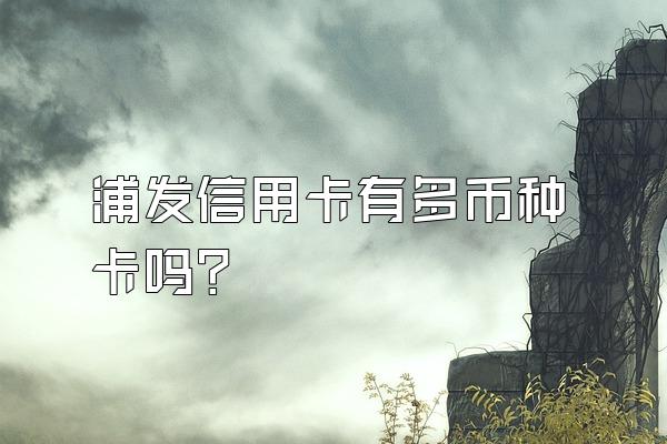 浦发信用卡有多币种卡吗？