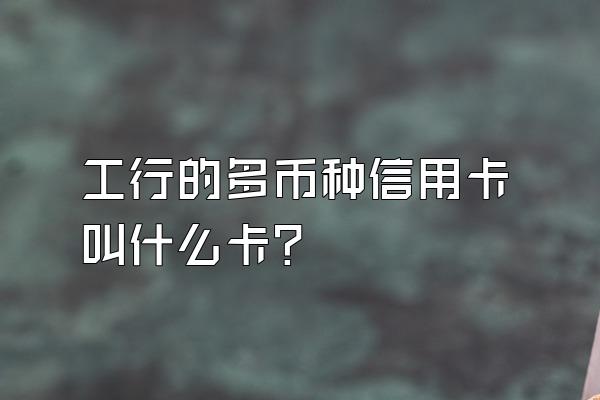 工行的多币种信用卡叫什么卡？