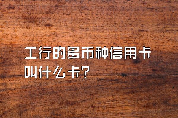 工行的多币种信用卡叫什么卡？