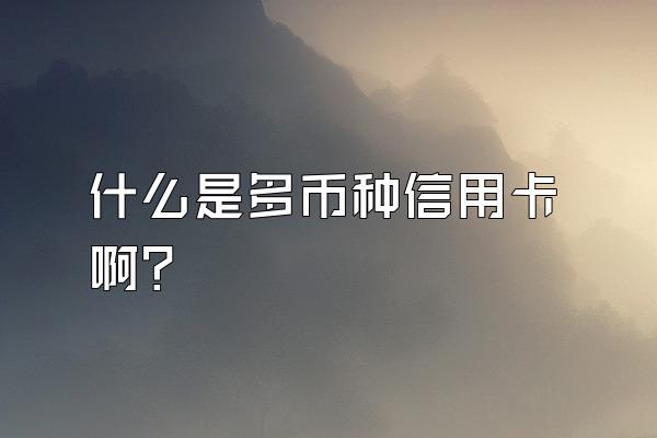 什么是多币种信用卡啊？