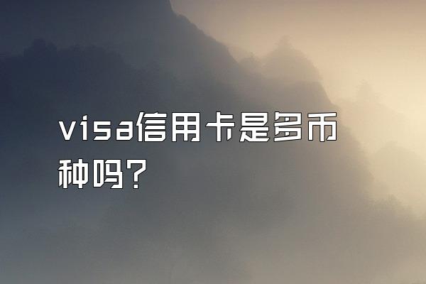 visa信用卡是多币种吗？