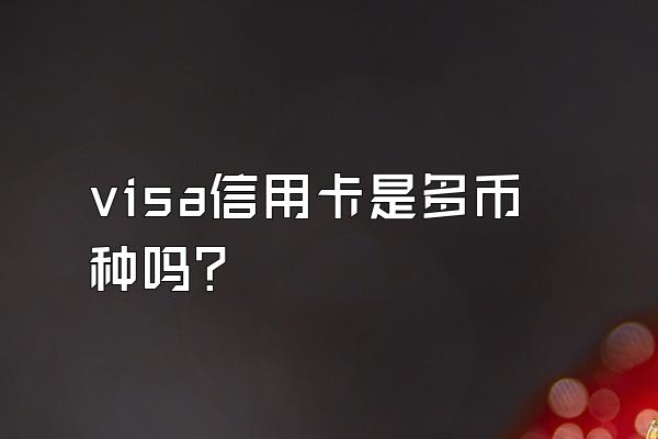 visa信用卡是多币种吗？