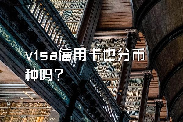 visa信用卡也分币种吗？