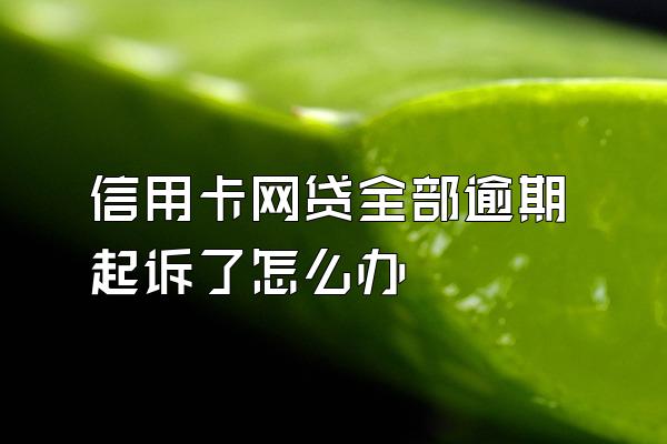 信用卡网贷全部逾期起诉了怎么办