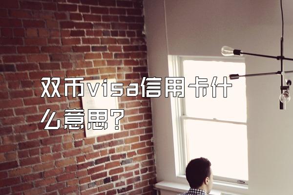 双币visa信用卡什么意思？