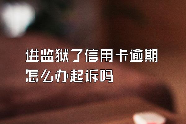 进监狱了信用卡逾期怎么办起诉吗