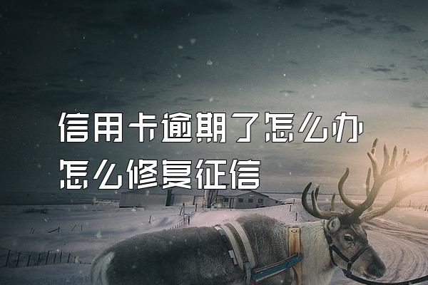 信用卡逾期了怎么办怎么修复征信