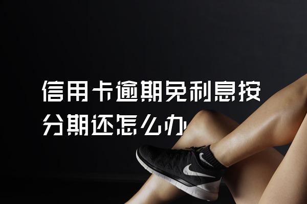 信用卡逾期免利息按分期还怎么办