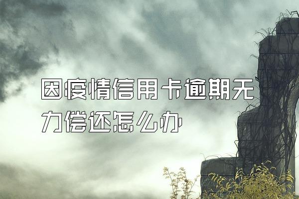 因疫情信用卡逾期无力偿还怎么办
