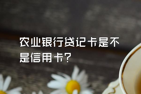 农业银行贷记卡是不是信用卡？