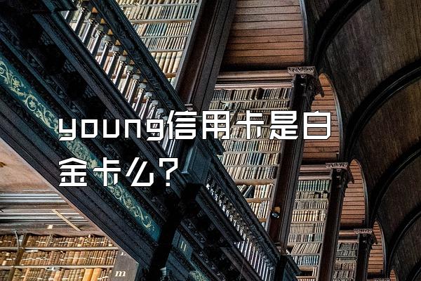 young信用卡是白金卡么？