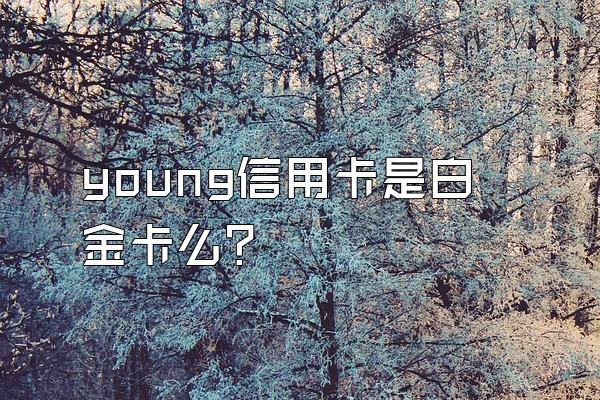 young信用卡是白金卡么？