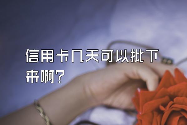 信用卡几天可以批下来啊？