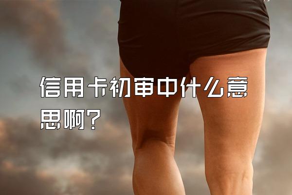 信用卡初审中什么意思啊？