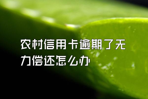 农村信用卡逾期了无力偿还怎么办