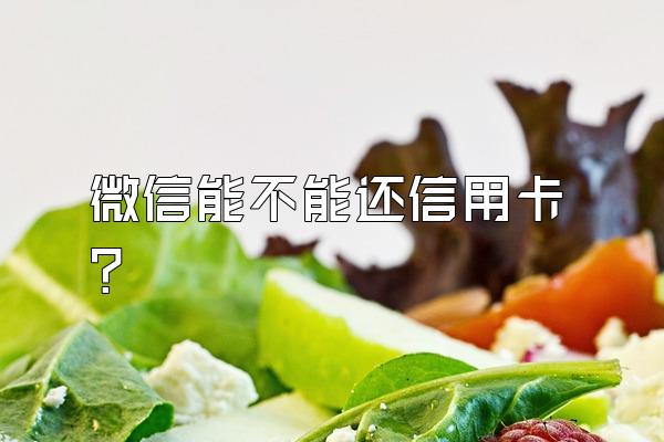 微信能不能还信用卡？