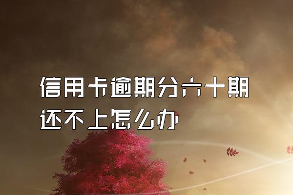 信用卡逾期分六十期还不上怎么办