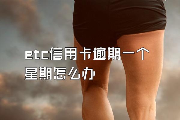 etc信用卡逾期一个星期怎么办