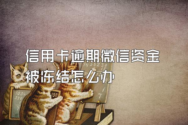 信用卡逾期微信资金被冻结怎么办