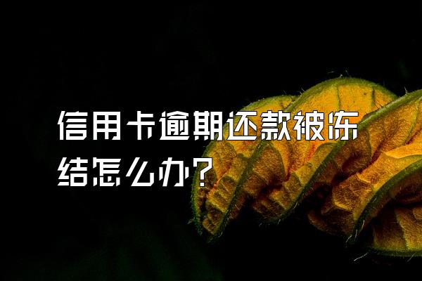 信用卡逾期还款被冻结怎么办？