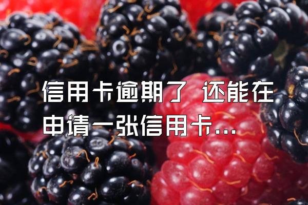 信用卡逾期了 还能在申请一张信用卡么？